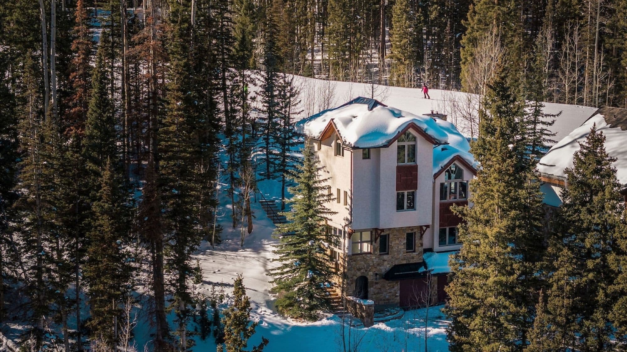 Winterleaf — Mountain Village, Telluride, Colorado